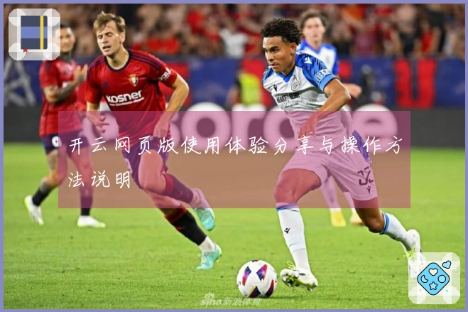 开云网页版使用体验分享与操作方法说明