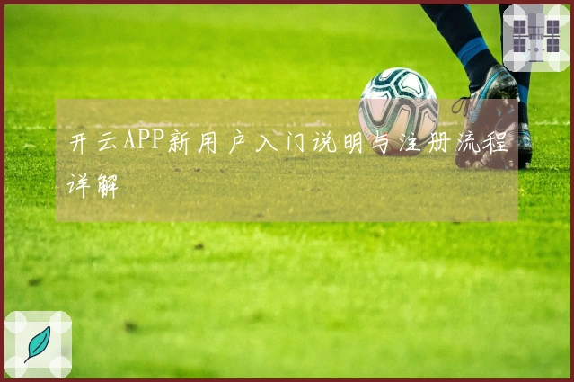 开云APP新用户入门说明与注册流程详解