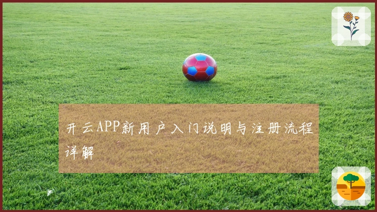 开云APP新用户入门说明与注册流程详解